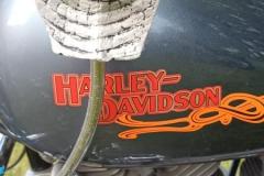 354919023_6505071559555249_4388942555109219464_n