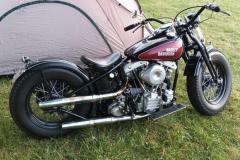 354943542_6505071709555234_5257389869696154930_n