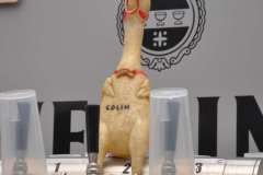 DSC_0091-Irmhilde-Metz