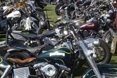 295602237_5318553024893934_1053218574708677885_n